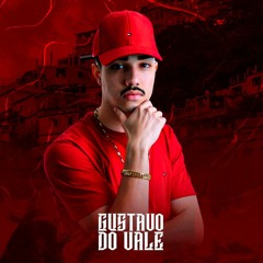 DJ GUSTAVO DO VALE