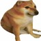 ssr