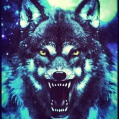 COLD-WOLF ☾𓃦 (Topic)