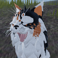 mossfur