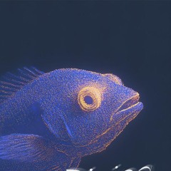 daFish