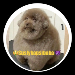 👑🗣️💸Suslykapsibaka_🤑🤑🤑💯