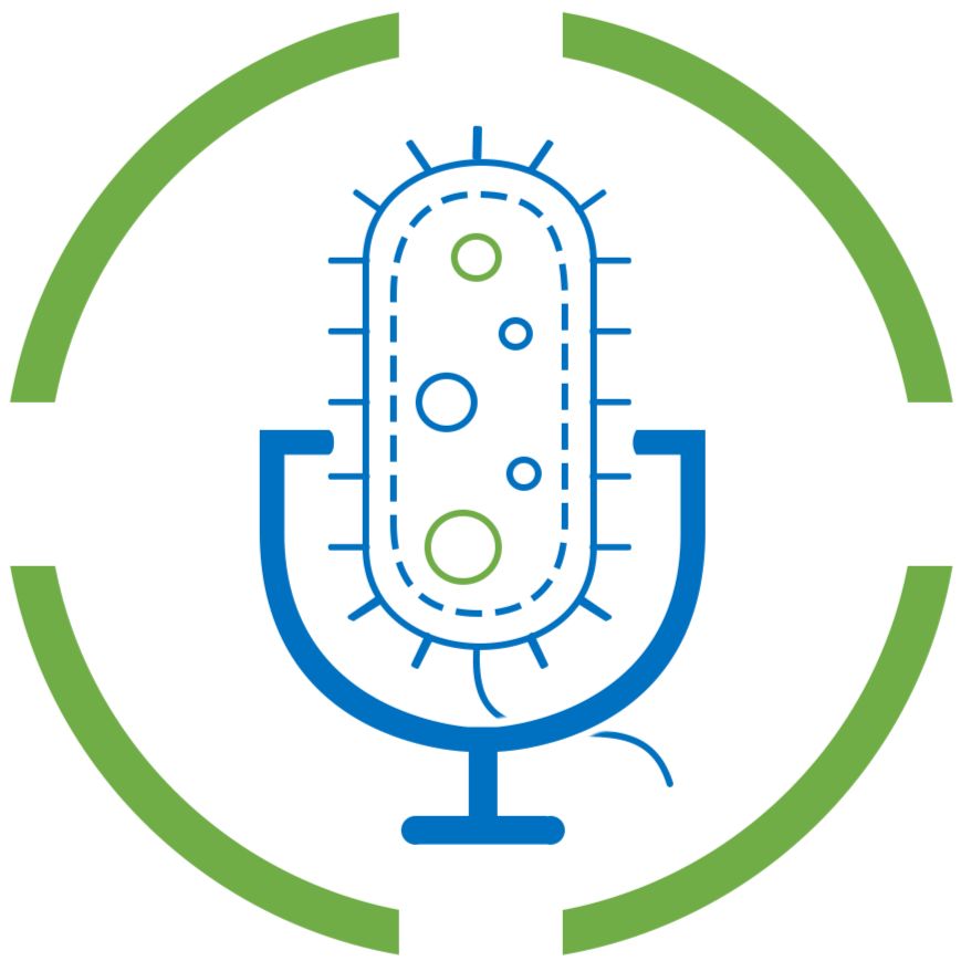 Innovating Alternatives