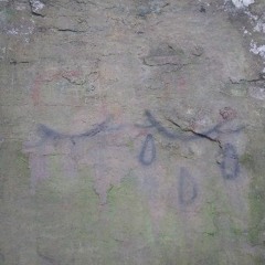 gisop