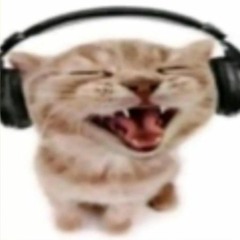 catto