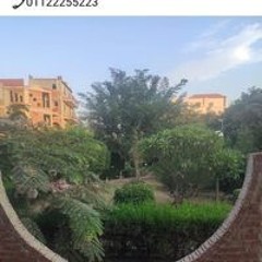 Alaa Ana