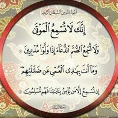 احمد اللافي