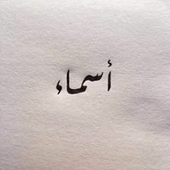 Shimaa Elhaggar