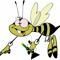 Cross Eyed Bee