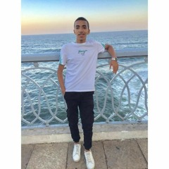 ziad lotfy