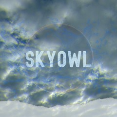 SkyOwl