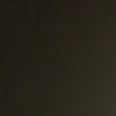 Gitanjali Das