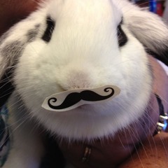 xantana FROM ATLANTA