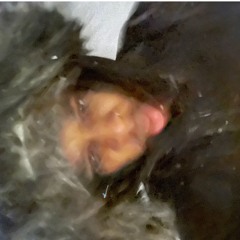 LOVEMXLLY