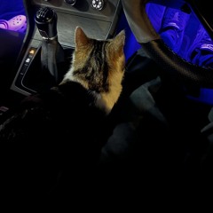 Saif