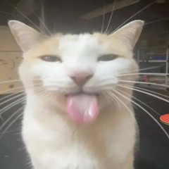 moonc