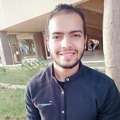mohamed Mansour