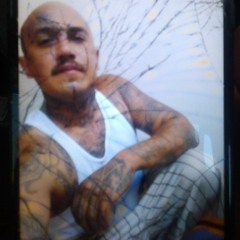 crip macc 55