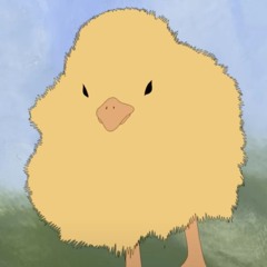 gibsox