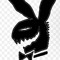 PlayboyT