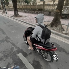 Hoàng Dương Vũ Việt