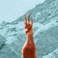 The Blues Against Youth