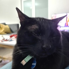 En El Castillo (WIP)