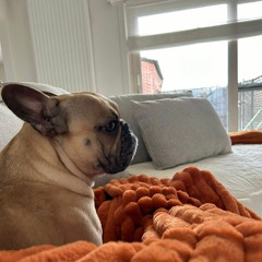 Kevin