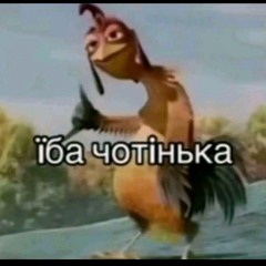 pasha300kr300