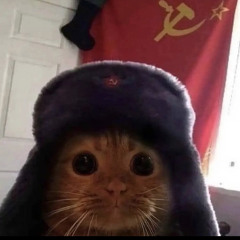 pizdec