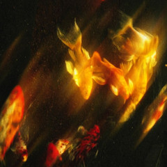 wavuha