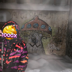 тоха трапов