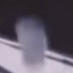 john cena