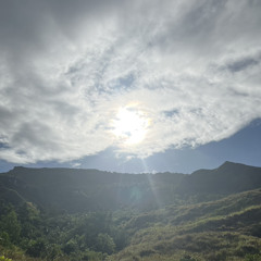 Honei