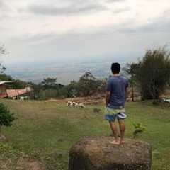 Willian Cáceres Delgado