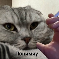 kapibar
