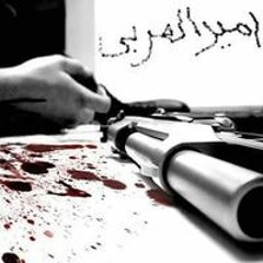 أمير أبو العربي