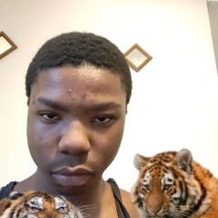 Shawnshow
