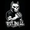 P1t_BuLL