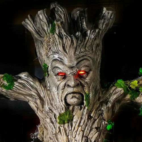 Maple Treeway’s avatar