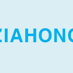 DJ ZIAHONG