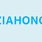 DJ ZIAHONG