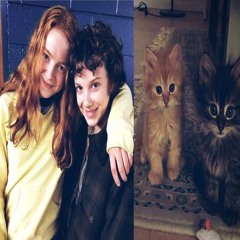 MewMews☆*