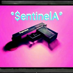 °$entinelA°