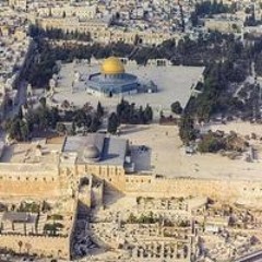 احمد السروجي السروجي