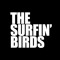 TheSurfinBirds