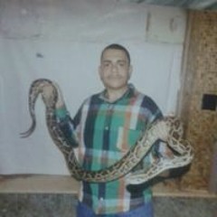 حازم الجن الجن
