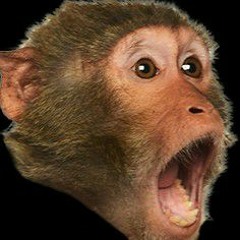 monke