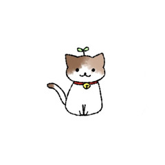 わいでぃー