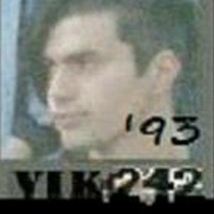vik242